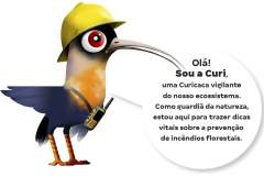 Com novo mascote, Paraná inicia campanha de prevenção de incêndios florestais