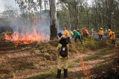 IAT capacita 65 voluntários para atuar em incêndios em Unidades de Conservação