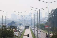 Estado de alerta: Paraná atinge momento mais crítico para casos de queimadas florestais