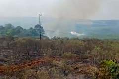 Avião contratado pelo Estado é acionado para combater incêndio florestal em Palmeira