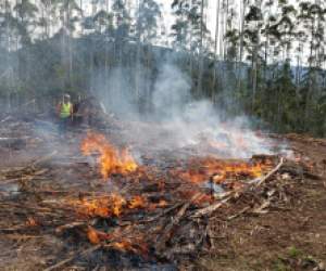 incendio florestal