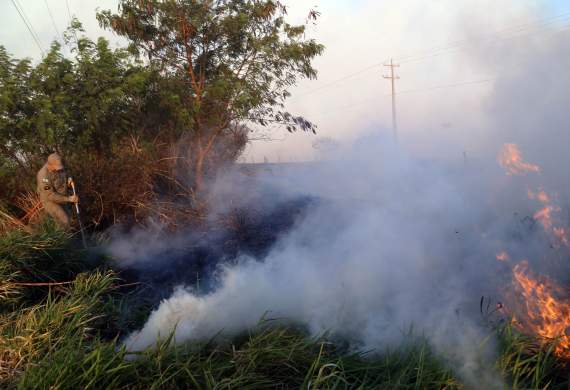 incendio florestal