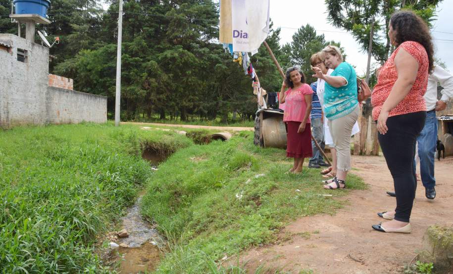 Programa Família Paranaense entra na guerra contra o Aedes aegypti