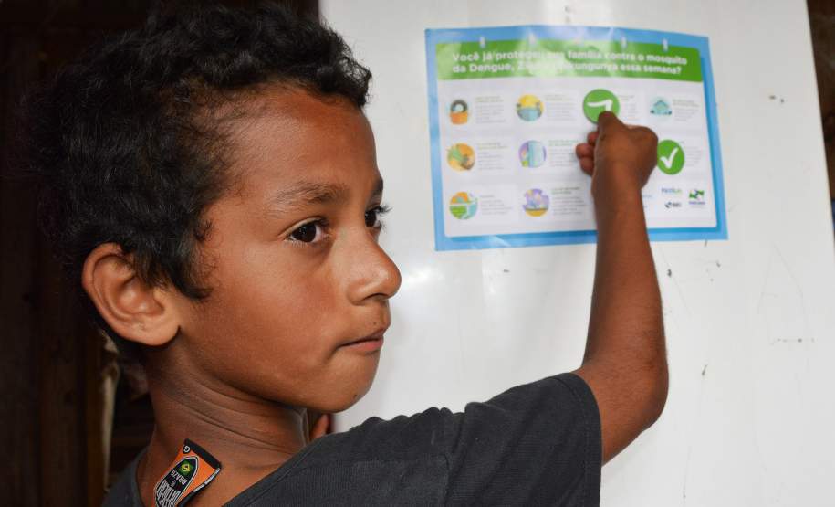 Programa Família Paranaense entra na guerra contra o Aedes aegypti