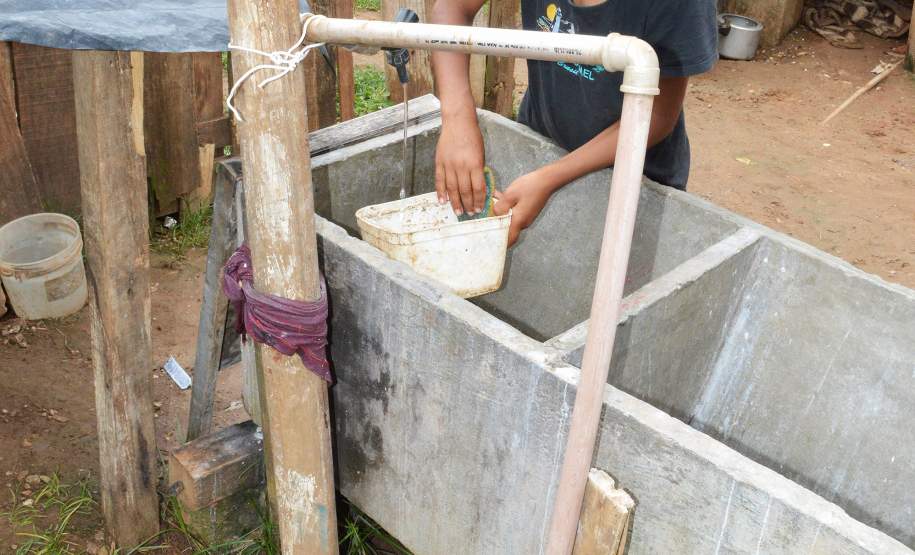 Programa Família Paranaense entra na guerra contra o Aedes aegypti