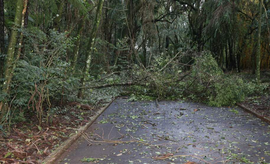 Ocorrências de desastres no Paraná diminuíram 37,6% em 2016