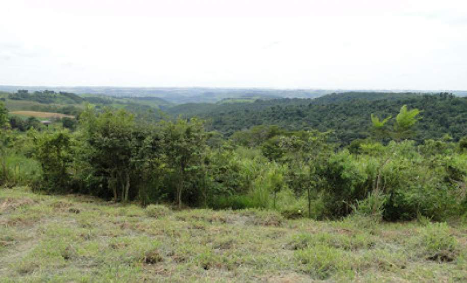 Preservação ambiental garante recursos para pequeno município paranaense