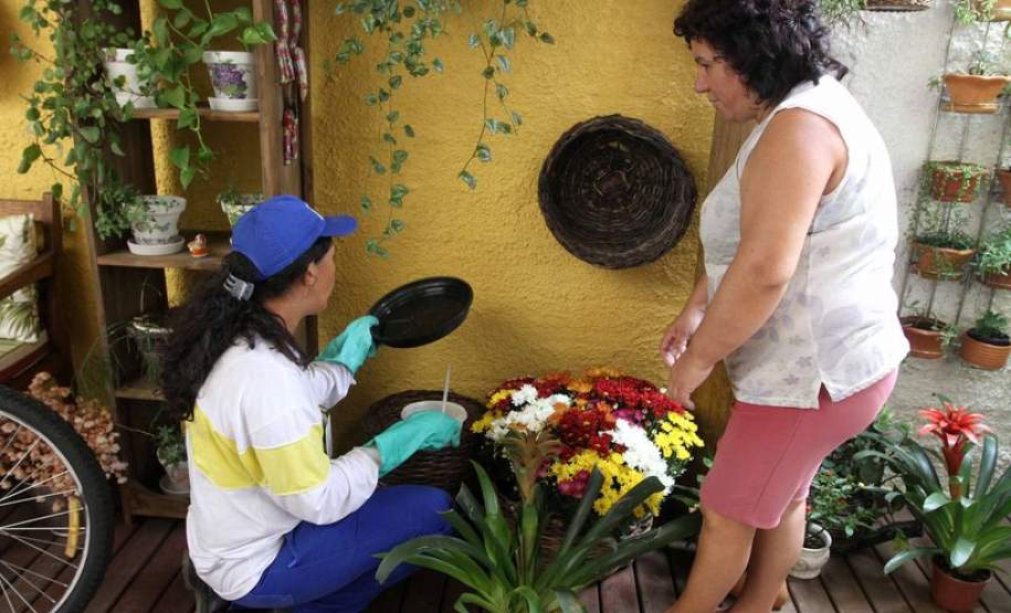 Secretaria de Saúde alerta para as diferenças ente a dengue e a chikungunya Secretaria de Saúde alerta para as diferenças ente a dengue e a chikungunya