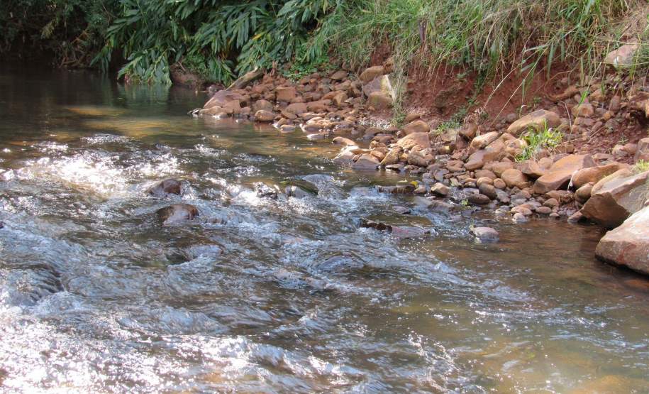 Voluntários retiram mais de 26 toneladas de lixo da bacia do Rio Cascavel