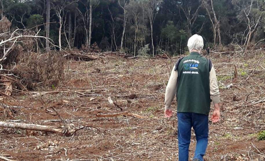 Multas por desmatamento ilegal no Paraná somam R$ 14,7 milhões Multas por desmatamento ilegal no Paraná somam R$ 14,7 milhões