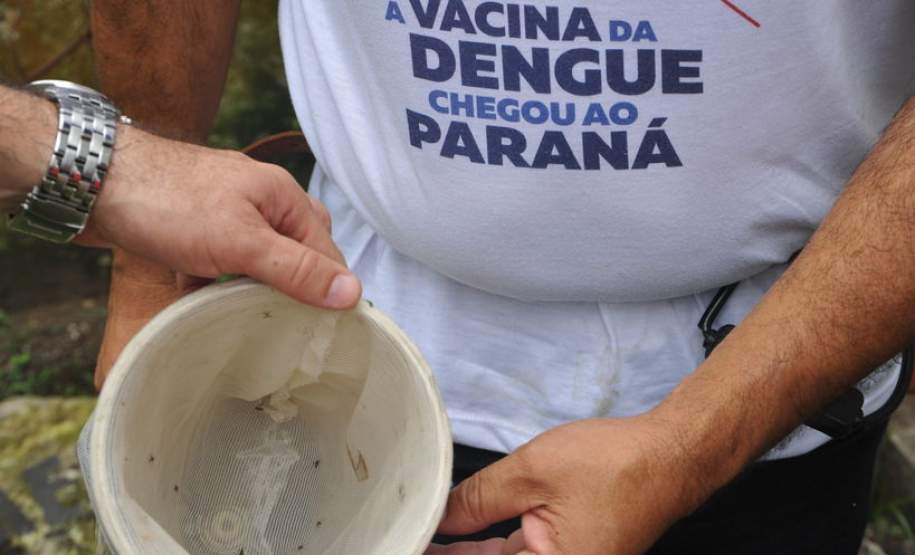 Municípios têm até esta sexta-feira para apresentar relatórios de controle da dengue