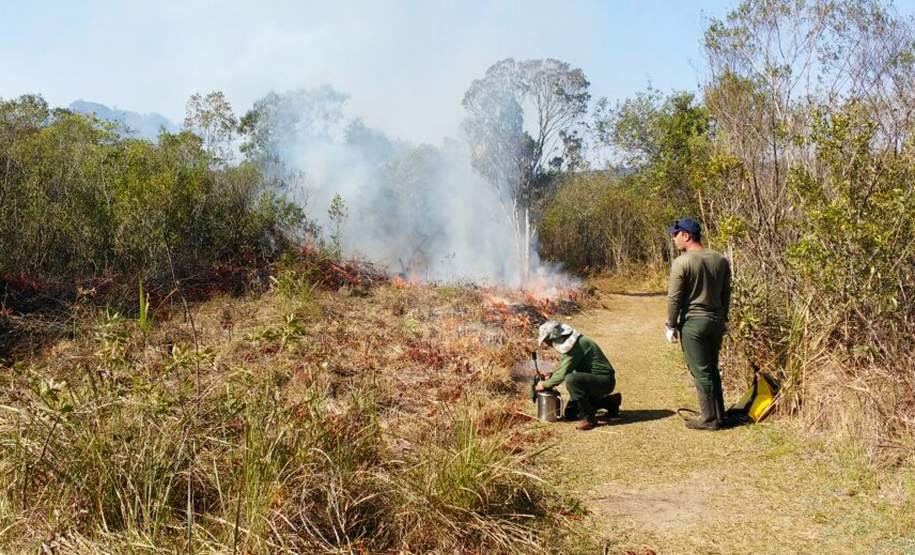 Fogo controlado vai restaurar biodiversidade de Vila Velha Fogo controlado vai restaurar biodiversidade de Vila Velha