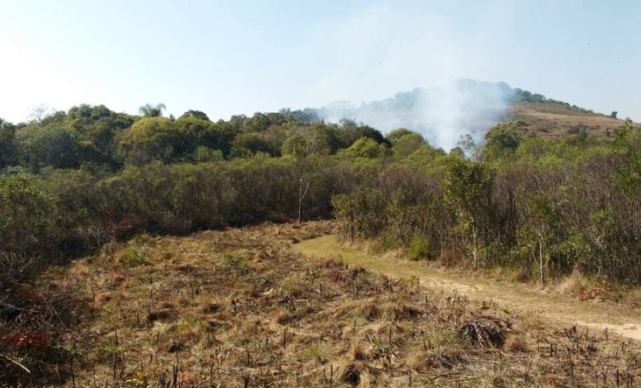 Fogo controlado vai restaurar biodiversidade de Vila Velha Fogo controlado vai restaurar biodiversidade de Vila Velha