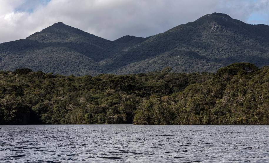 Florestas na Serra do Mar protegem fontes de água de Curitiba e RMC Florestas na Serra do Mar protegem fontes de água de Curitiba e RMC