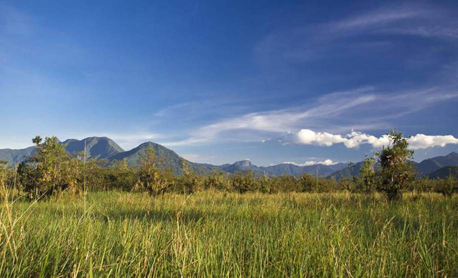 Áreas paranaenses são incluídas em Lista de Zonas Úmidas Áreas paranaenses são incluídas em Lista de Zonas Úmidas