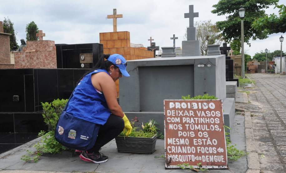 Saúde alerta para cuidados contra o mosquito da dengue
