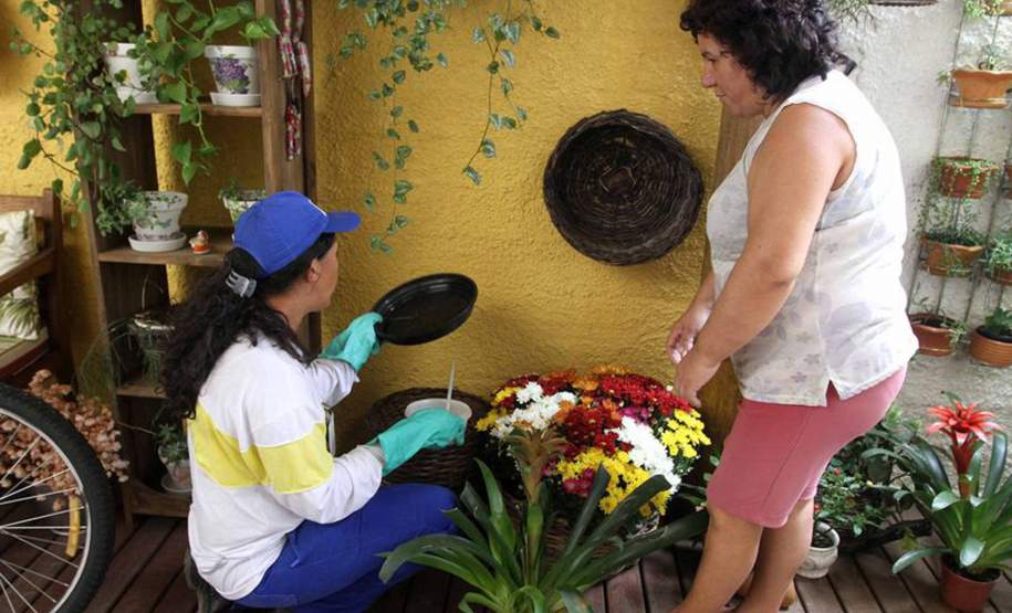 Paraná não registra mortes por dengue há 14 meses Paraná não registra mortes por dengue há 14 meses