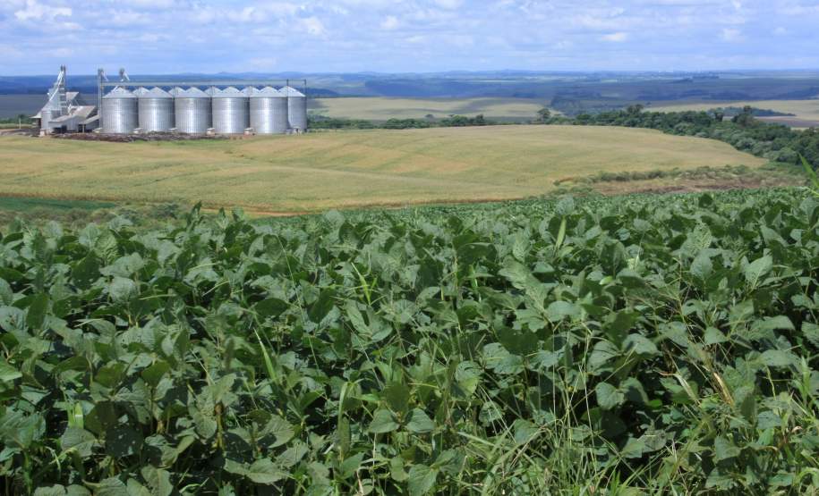 Prorrogado o prazo para regularização ambiental
