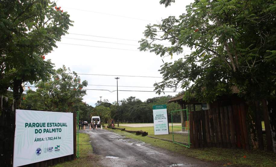 Parque do Palmito é uma boa opção de passeio no Litoral Parque do Palmito é uma boa opção de passeio no Litoral