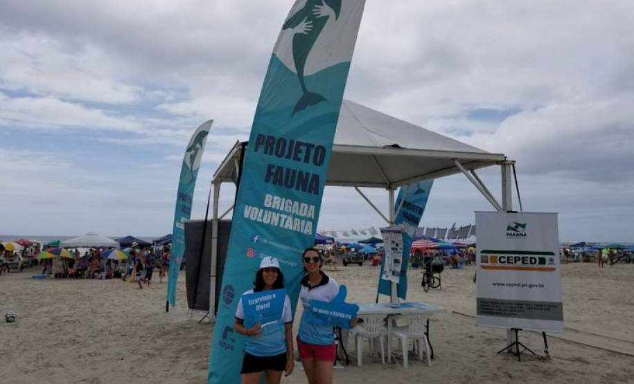 Projeto Fauna conscientiza veranistas sobre a importância do trabalho voluntário no resgate da fauna oleada. Projeto Fauna conscientiza veranistas sobre a importância do trabalho voluntário no resgate da fauna oleada.