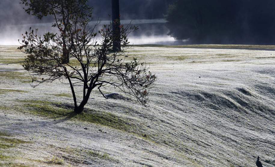 Simepar e Iapar iniciam Alerta Geada nesta terça Simepar e Iapar iniciam Alerta Geada nesta terça