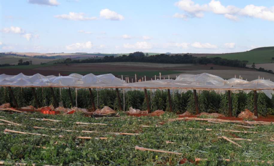Fortes ventos trouxeram prejuízos na cidade de Marilêndia do Sul.
