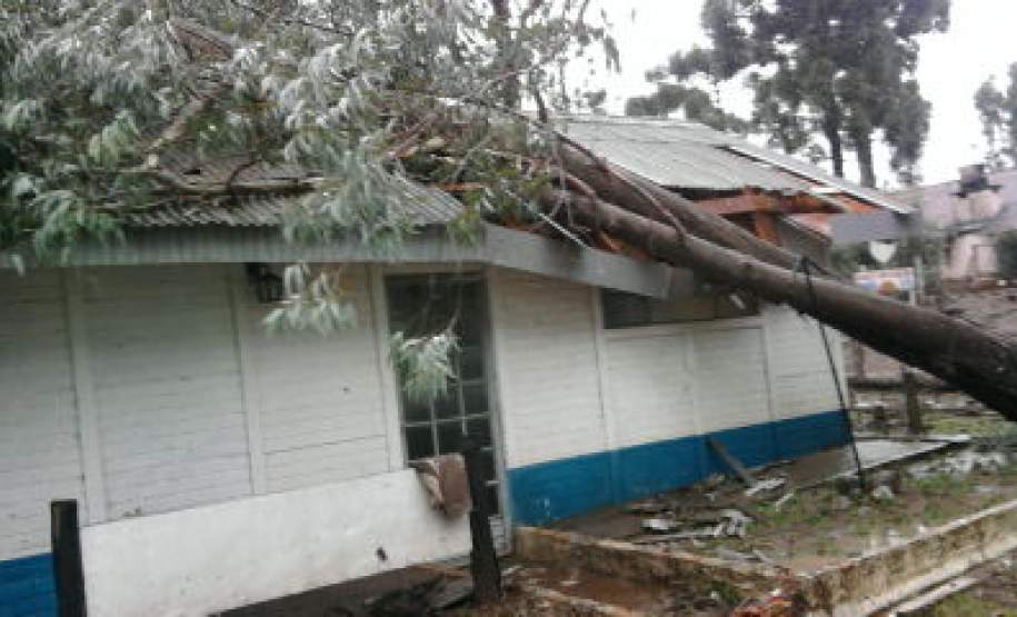 Ocorrência em Pinhão Ocorrência em Pinhão