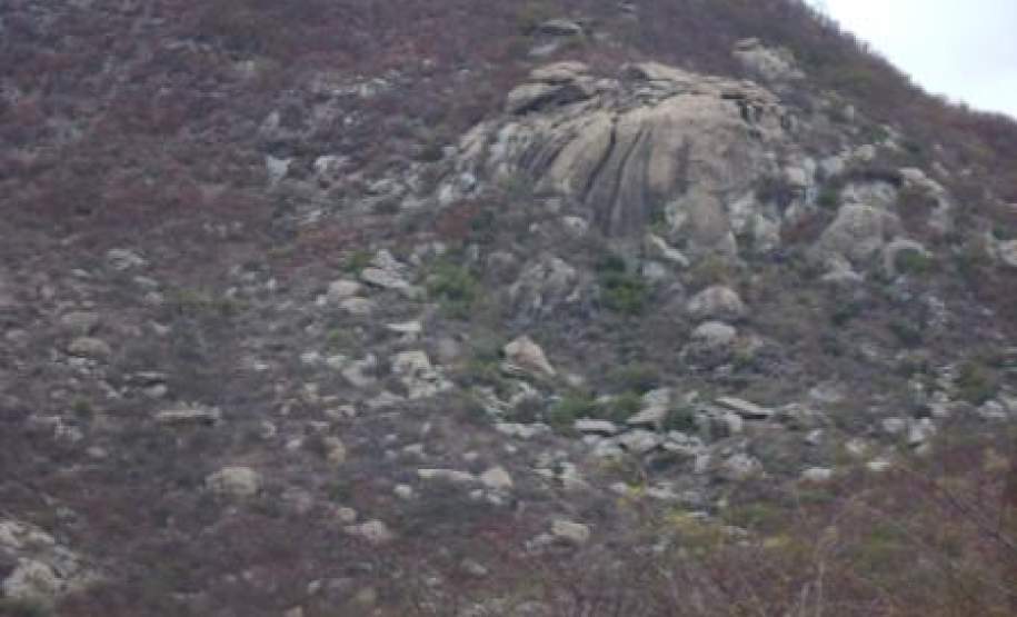 Relevo Jardins de Piranha