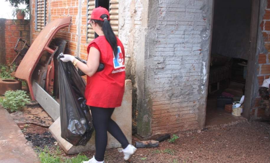 Multirão Combate Dengue São José das Palmeiras