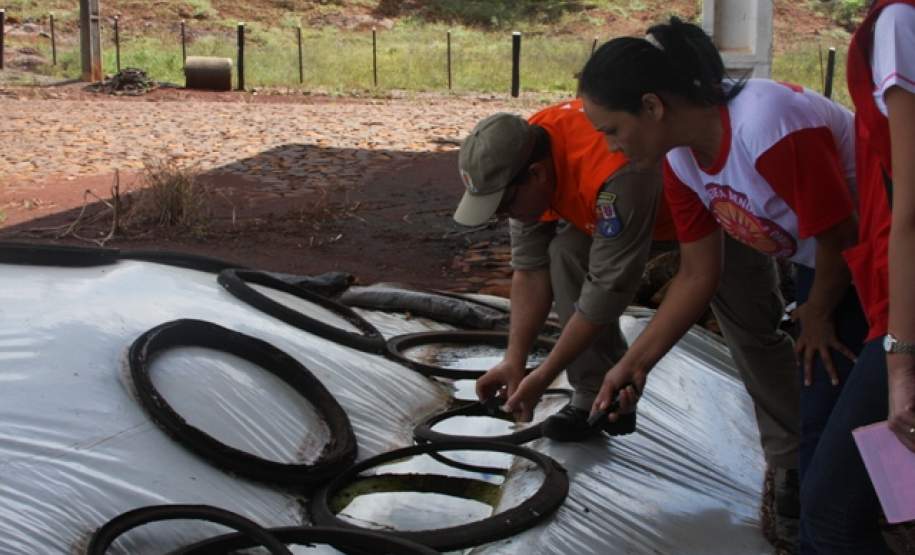 Multirão Combate Dengue São José das Palmeiras