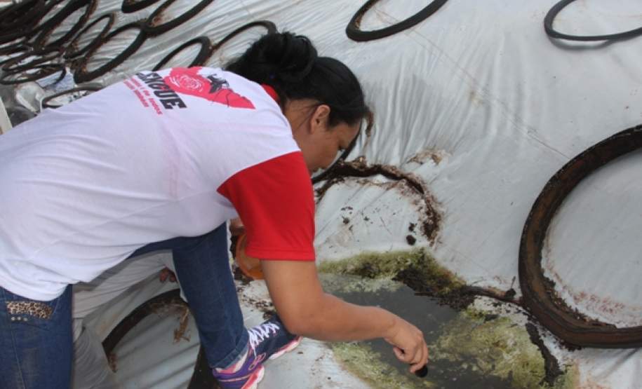 Multirão Combate Dengue São José das Palmeiras
