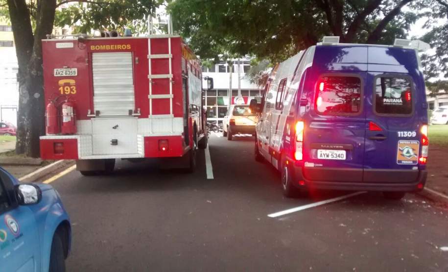 DEFESA CIVIL PARTICIPA DO DIA D. Defesa Civil se une a Agentes da Saúde dos Municípios do Paraná para combater o mosquito Aedes aegypti, transmissor da dengue, chikungunya e zika vírus.