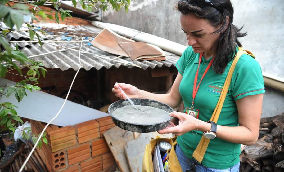O sábado de Carnaval (6) foi escolhido pelo Governo do Estado para a realização da campanha Hora H – Todos contra o mosquito da Dengue. O objetivo é convocar todos os paranaenses a vistoriar casas e quintais simultaneamente, às 10h da manhã, com o objetivo de eliminar criadouros do mosquito transmissor da dengue, zika e chikungunya.
