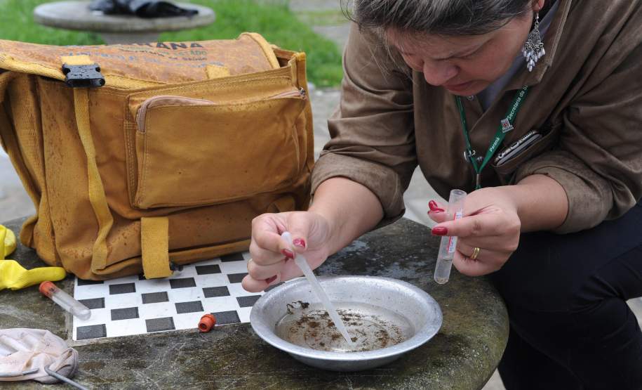 O sábado de Carnaval (6) foi escolhido pelo Governo do Estado para a realização da campanha Hora H – Todos contra o mosquito da Dengue. O objetivo é convocar todos os paranaenses a vistoriar casas e quintais simultaneamente, às 10h da manhã, com o objetivo de eliminar criadouros do mosquito transmissor da dengue, zika e chikungunya.