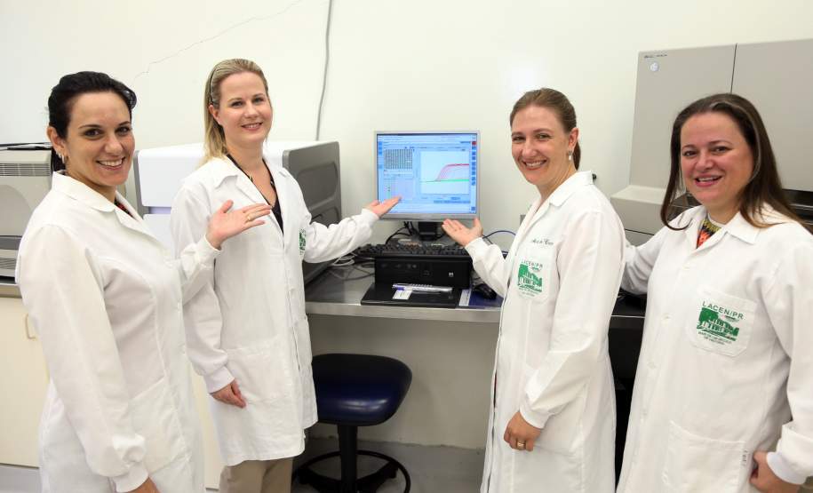 Paraná usa tecnologia pioneira para detectar dengue, zika e Chikungunya A Secretaria de Estado da Saúde apresentou nesta sexta-feira (5) a nova tecnologia utilizada pelo Laboratório Central do Estado (Lacen-PR) para o diagnóstico simultâneo de dengue, zika e chikungunya. Pioneiro no país, o Teste para Diagnóstico Molecular de Arboviroses Metodologia Multiplex, em uso desde o dia 3 de fevereiro, amplia a capacidade de análise do Lacen de 60 para 1.400 exames semanais.