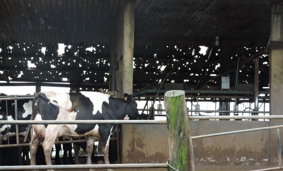 CUIDADOS EM SITUAÇÕES DE TEMPESTADES, VENDAVAIS E GRANIZO. Em situações de tempestade, vendavais e granizo, quando o telhado da residência foi danificado, os moradores tendem a subir até o local para realizar o conserto. Estatisticamente foi comprovado que a maioria dos acidentes nesse período se dá após o evento, no momento de recuperação dos estragos, então alguns cuidados são muito importantes para evitar acidentes.