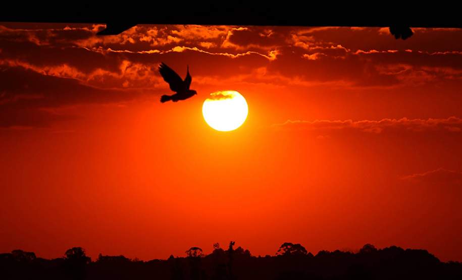 Estado do Paraná teve o mês de janeiro mais quente já registrado Estado do Paraná teve o mês de janeiro mais quente já registrado