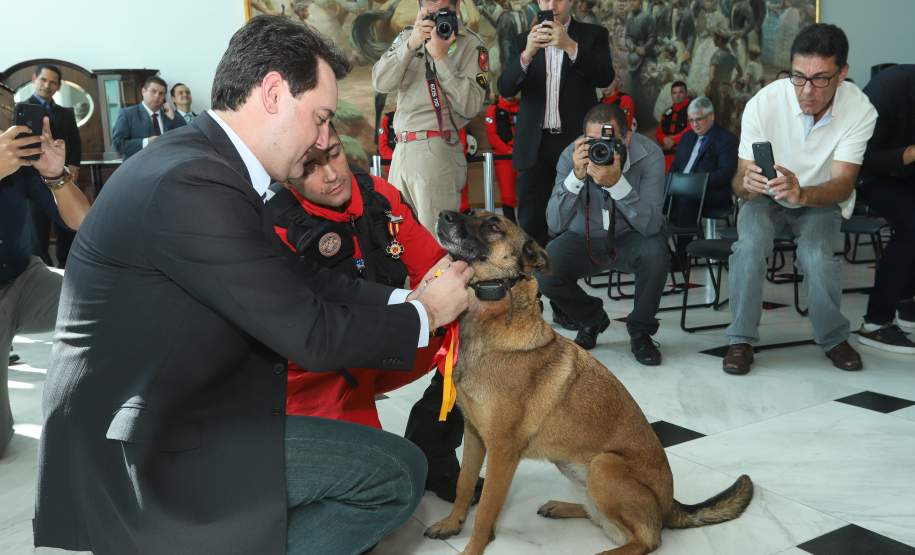 O governador Carlos Massa Ratinho Junior entregou nesta segunda-feira (1º) medalhas de mérito às equipes do Corpo de Bombeiros, Polícia Militar, Polícia Científica e Defesa Civil que ajudaram nas operações de busca e salvamento em Brumadinho, Minas Gerais. - Curitiba, 01-04-19.  -  Foto: Rodrigo Félix Leal/ANPr