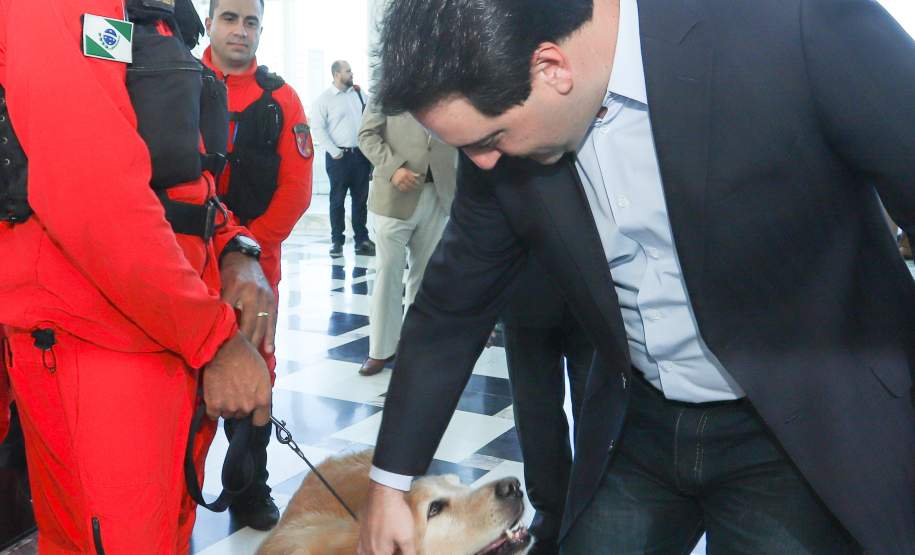O governador Carlos Massa Ratinho Junior entregou nesta segunda-feira (1º) medalhas de mérito às equipes do Corpo de Bombeiros, Polícia Militar, Polícia Científica e Defesa Civil que ajudaram nas operações de busca e salvamento em Brumadinho, Minas Gerais. - Curitiba, 01-04-19.  -  Foto: Rodrigo Félix Leal/ANPr