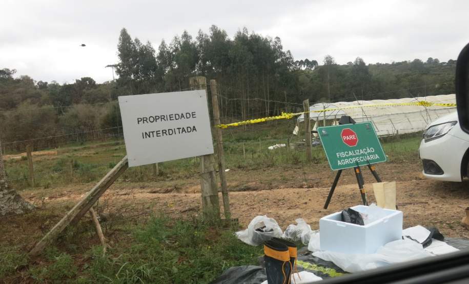 Simulado de defesa agropecuária