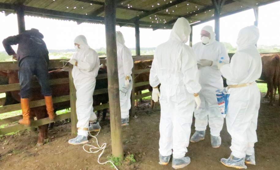 Simulado de defesa agropecuária