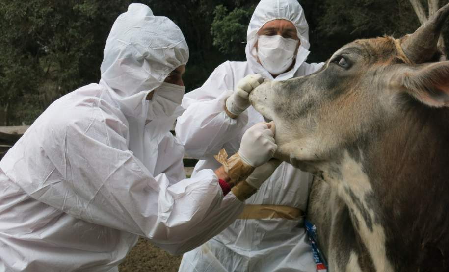 Simulado de defesa agropecuária