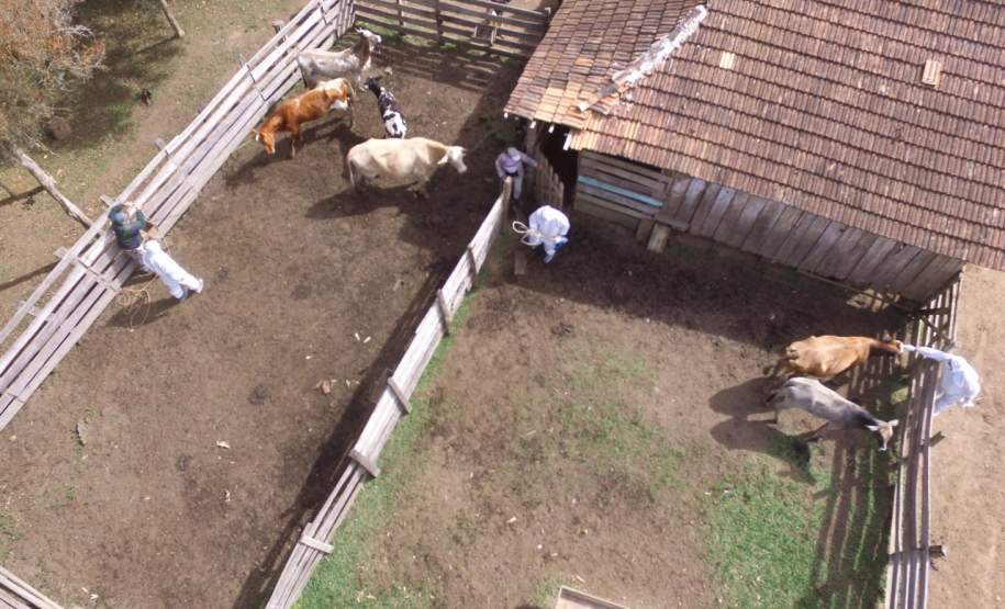 Simulado de defesa agropecuária