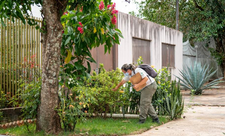 Gincana Todos contra a Dengue