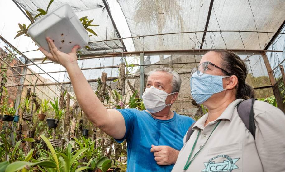 Gincana Todos contra a Dengue