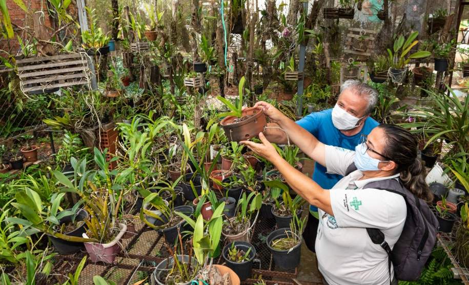 Gincana Todos contra a Dengue