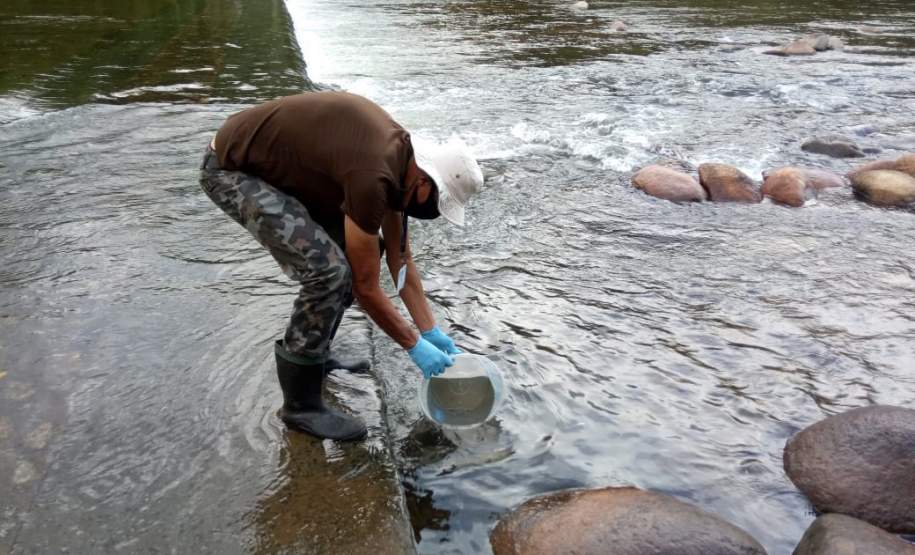 Audiência pública debate respostas a acidentes ambientais na BR-376
