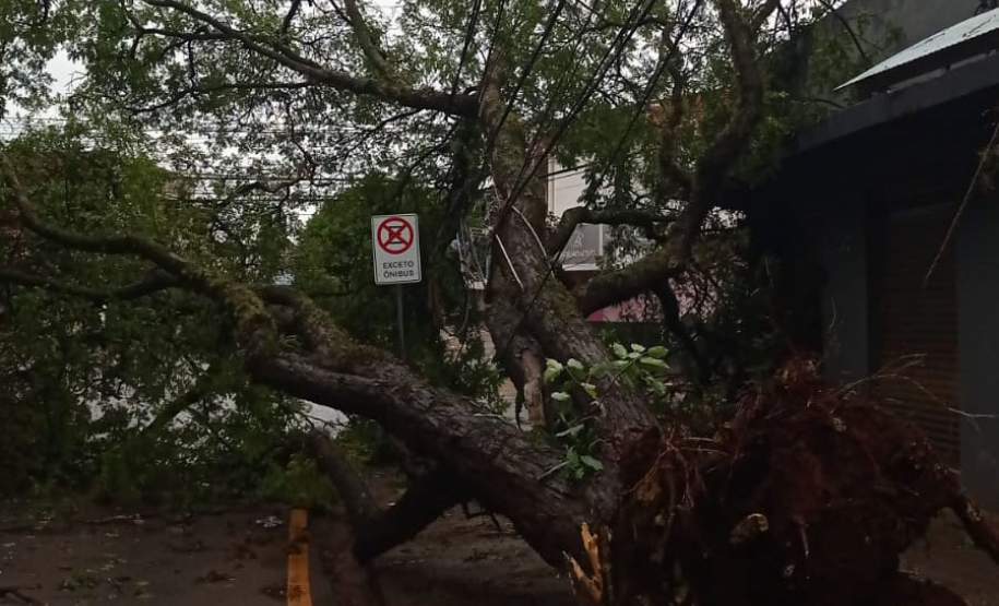 Temporais deixam mais de 1,2 mil casas destelhadas no Paraná