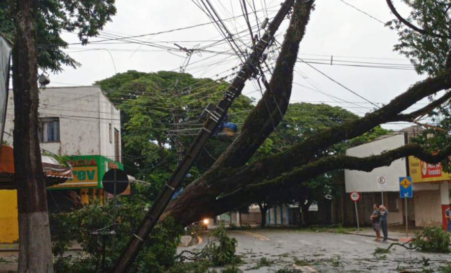 Temporais deixam mais de 1,2 mil casas destelhadas no Paraná