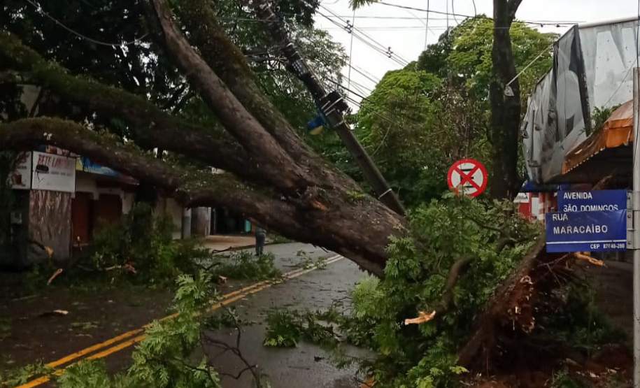 Temporais deixam mais de 1,2 mil casas destelhadas no Paraná